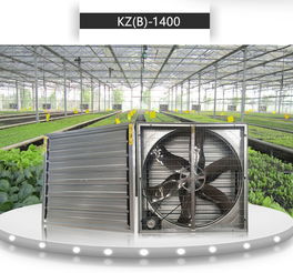 環保型工業負壓風機 實現高效車間抽風換氣與養殖降溫通風的濕度調節設備